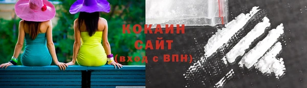 jwh Сосновый Бор