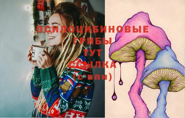 jwh Сосновый Бор