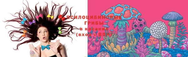 шишки Сосновоборск