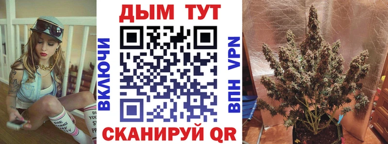 Марихуана планчик  Купить  Сургут 